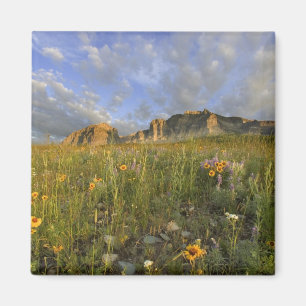Aimant Fleurs sauvages de la prairie dans la vallée de Ma