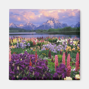 Aimant Fleurs sauvages de montagne