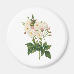 Aimant Fleurs vintages Flore Blush Noisette Rose Redoute