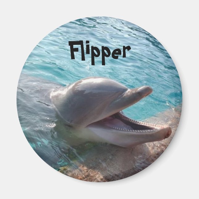 Aimant Flipper (Devant)
