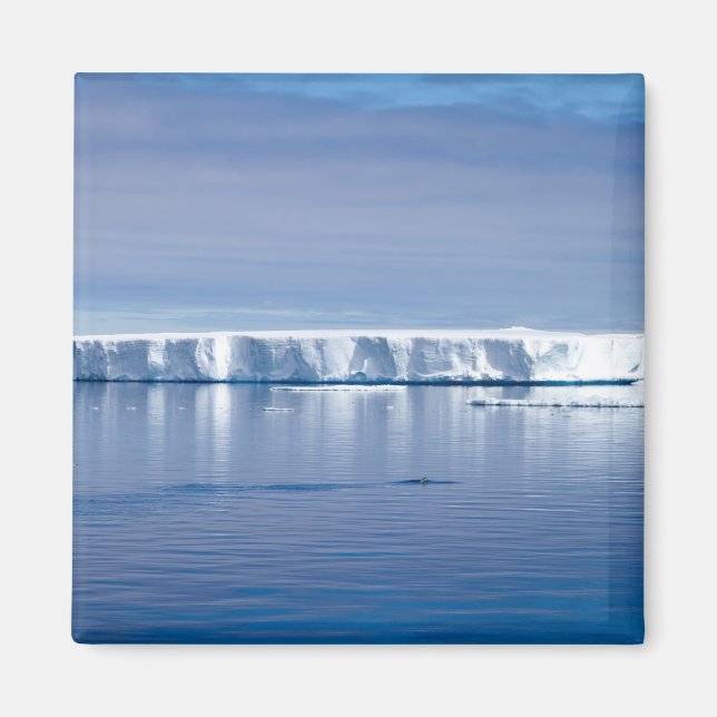 Aimant Floating iceberg (Devant)