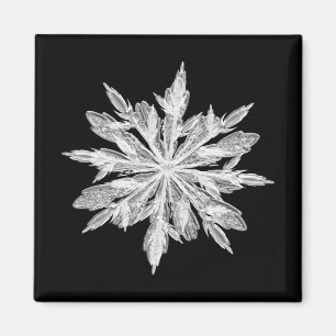 Aimant Flocon de neige de cristal de glace