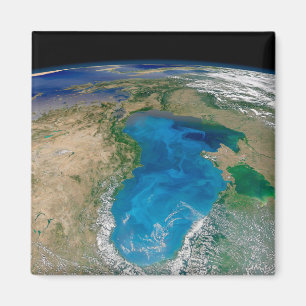 Aimant Floraison De Phytoplancton Bleu En Mer Noire