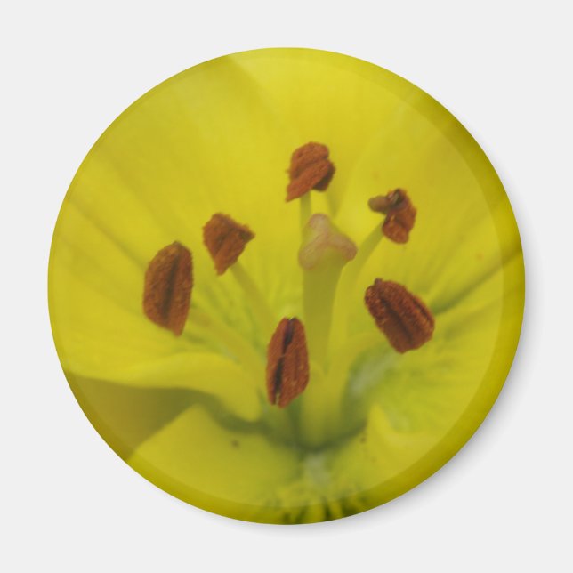 Aimant floral jaune (Devant)