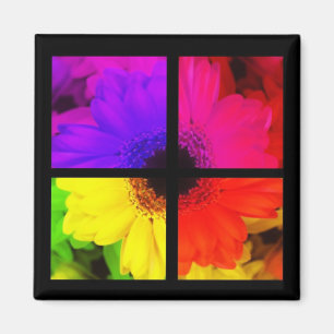 Aimant Floral Potpourri