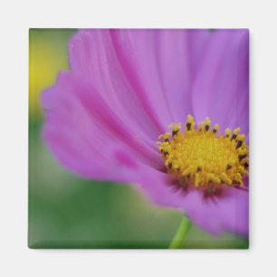 Aimant floral rose