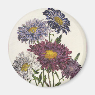 Aimant Floral vintage, Fleurs d'Aster Violet Antique