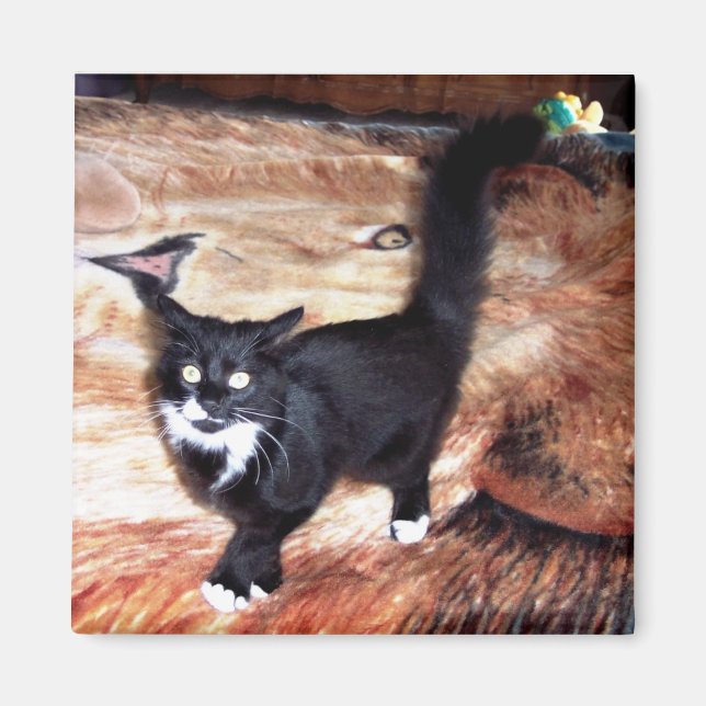 AIMANT FLOSSIE (Devant)