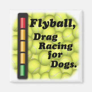 Aimant Flyball est Drag Racing / Chiens Refrigerator Magn