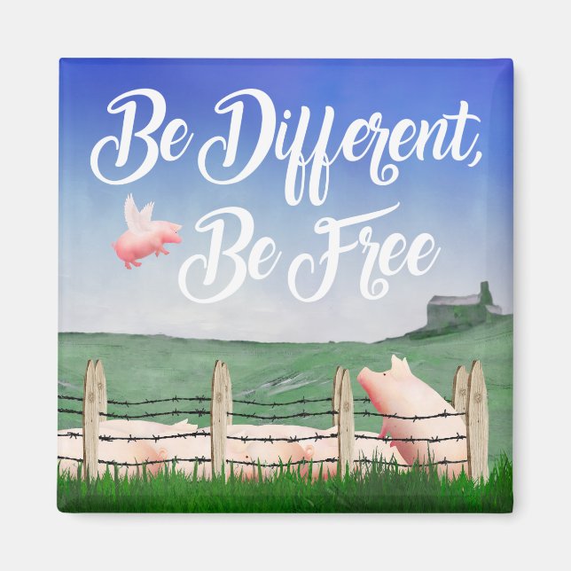 Aimant Flying Pig-Be Different (Devant)