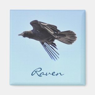 Aimant Flying Raven in Blue Sky HDR Design photo