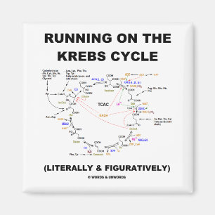 Aimant Fonctionnement sur le cycle de Krebs (humour de la
