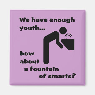 Aimant Fontaine d'humour drôle d'aimant de Smarts