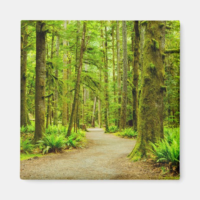 Aimant Forest | Parc national olympic (Devant)