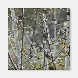 Aimant Forêt d'Aspen