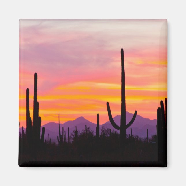 Aimant Forêt de Cactus du Saguaro au coucher du soleil (Devant)