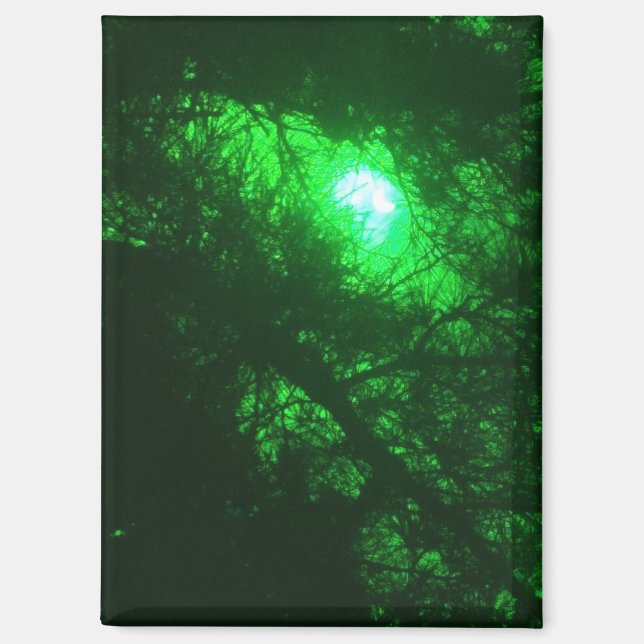 Aimant Forêt de minuit éffrayante (Recto)