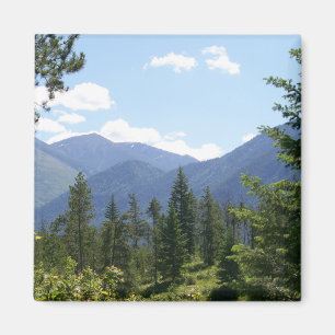 Aimant Forêt et Montana Vue Pittoresque