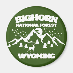 Aimant Forêt nationale de Bighorn Wyoming