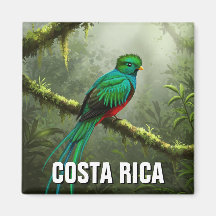 Forêt nuageuse de Quetzal Monteverde
