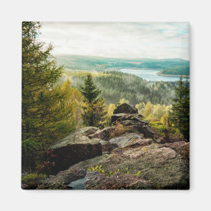 Aimant Forêt   Ore Mountains Allemagne