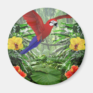 Aimant Forêt tropicale des pluies