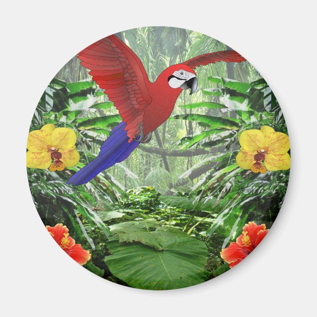 Aimant Forêt tropicale des pluies (Devant)