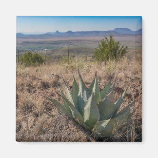 Aimant Fort Davis Mountains Agave