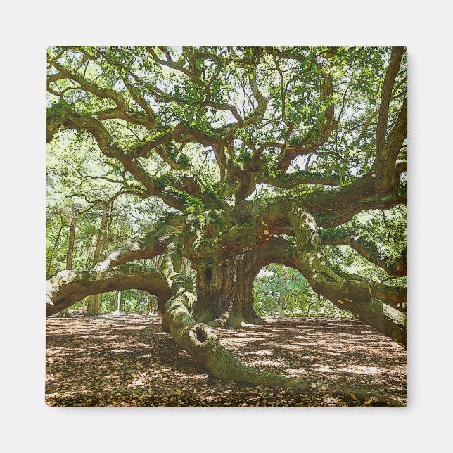 Aimant Forte Et Grave (Devant)