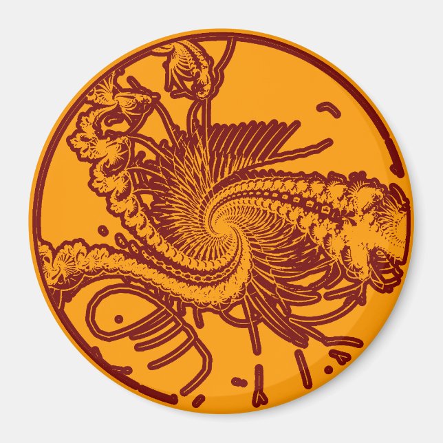 Aimant Fossil. 2 (Devant)