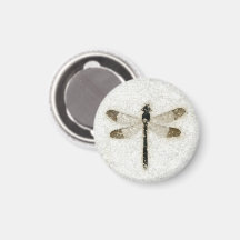 Fossil de Damselfly, Butte Fossil NM, Wyoming