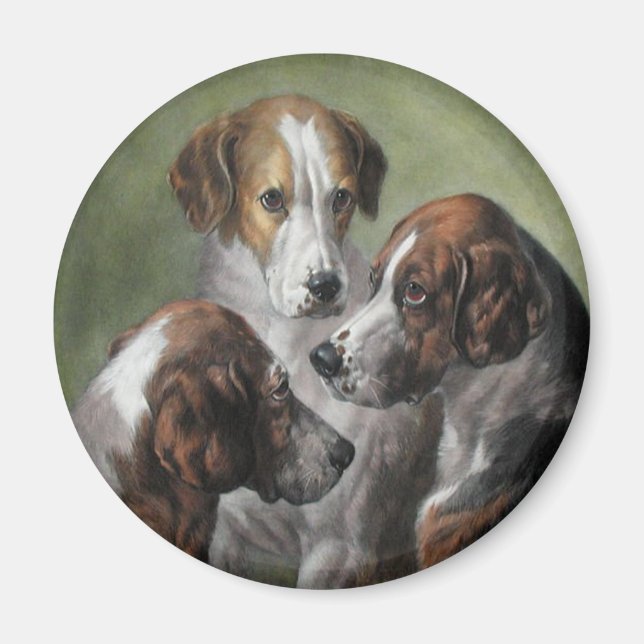 Aimant Fox Hounds (Devant)