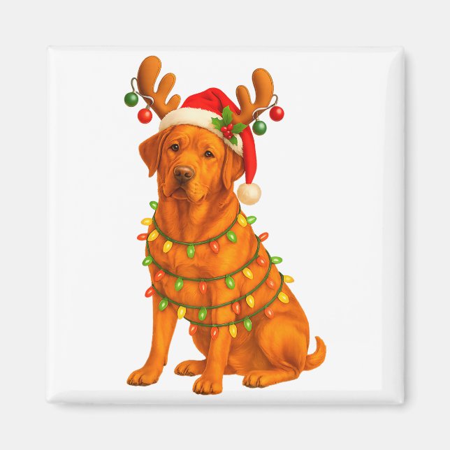 Aimant Fox Red Lab Christmas Tree Light Pajama Labrador D (Devant)