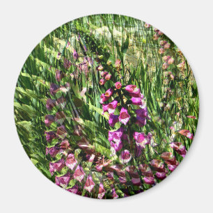 Aimant Foxglove Love......