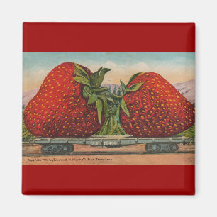 Aimant Fraises Giant Fruit Antique Fruit Amusant