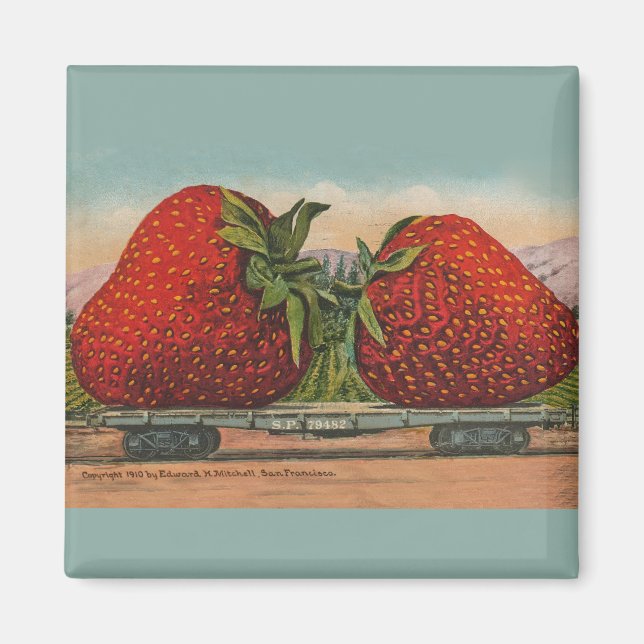 Aimant Fraises Giant Fruit Antique Fruit Amusant (Devant)