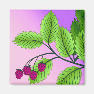 Aimant Framboises sur une branche