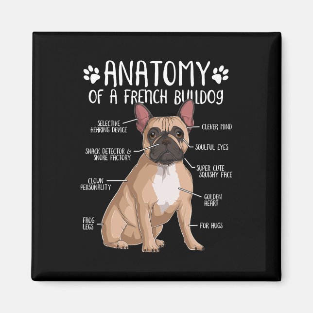 Aimant Français Bulldog Anatomie Français Amoureux des ch (Devant)