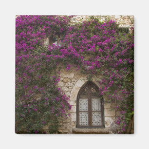 Aimant France, Provence, Èze. Rose vif