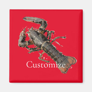Aimant Fresh Maine Lobster Thunder_Cove