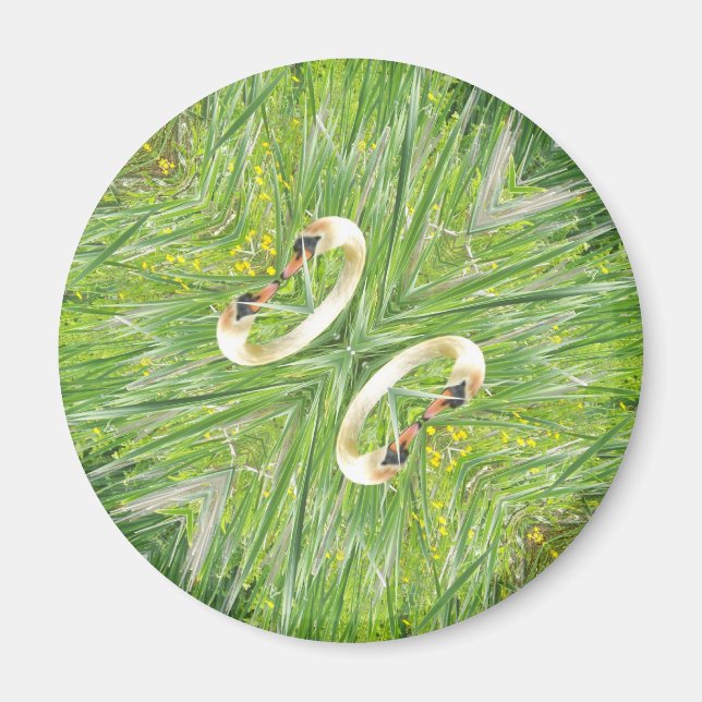 aimant frigo à quatre cygnes (Devant)