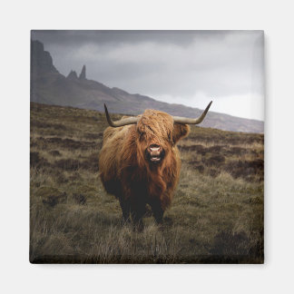 Aimant frigo écossais Highland