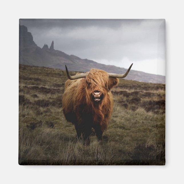 Aimant frigo écossais Highland (Devant)