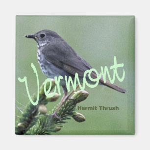 Aimant frigo Hermite Thrush Oiseau du Vermont
