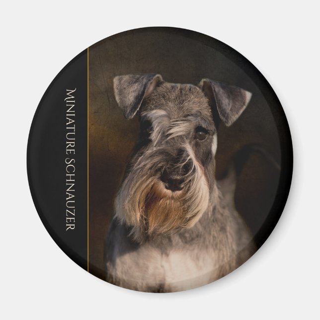 Aimant frigo Schnauzer miniature (Devant)