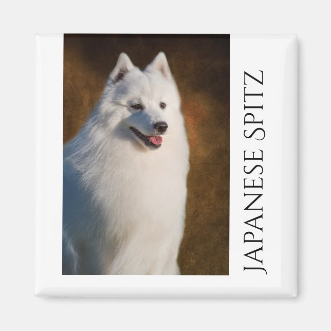 Aimant frigo Spitz japonais (Devant)