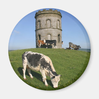 Aimant frigo Temple de Salomon