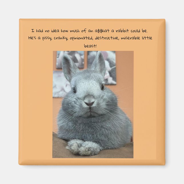 Aimant frigorifique à lapin cranky (Devant)