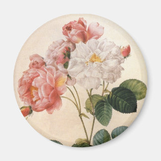 Aimant frigorifique rose rose vintage Art