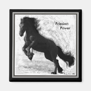 Aimant frison 2 de puissance